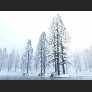 1152x864-First%20Snow.jpg