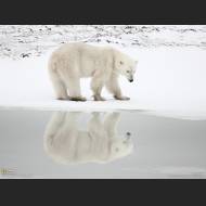 1600x1200-11-water-1600.jpg